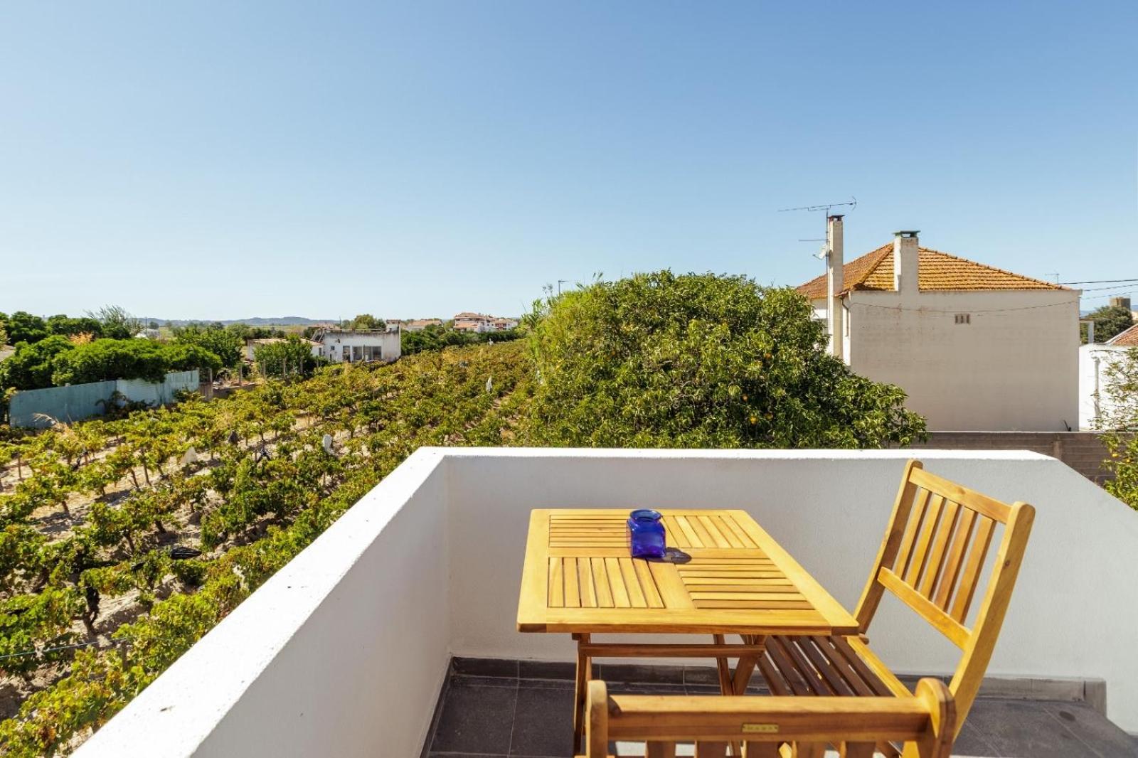 Pinheirinha Guest House Alpiarça Dış mekan fotoğraf